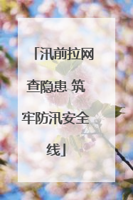 汛前拉网查隐患 筑牢防汛安全线