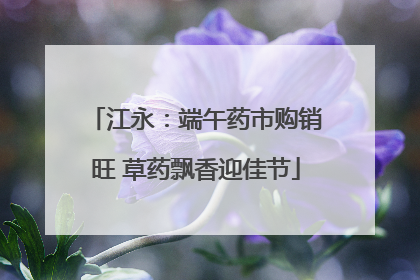江永：端午药市购销旺 草药飘香迎佳节