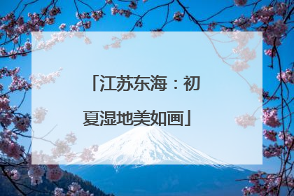 江苏东海：初夏湿地美如画
