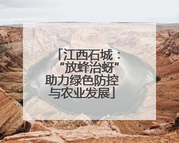 江西石城：“放蜂治蚜”助力绿色防控与农业发展