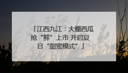 江西九江：大棚西瓜抢“鲜”上市 开启夏日“甜蜜模式”