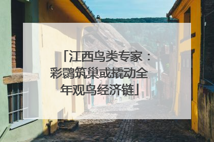 江西鸟类专家：彩鹮筑巢或撬动全年观鸟经济链