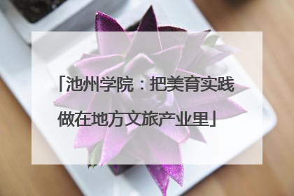 池州学院：把美育实践做在地方文旅产业里