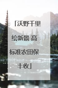 沃野千里绘新景 高标准农田保丰收