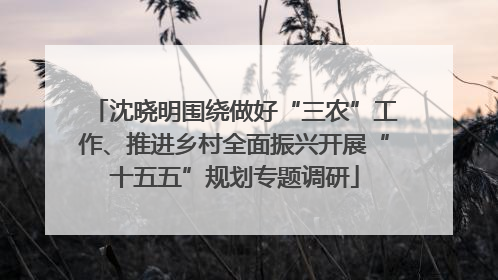 沈晓明围绕做好“三农”工作、推进乡村全面振兴开展“十五五”规划专题调研