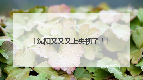 沈阳又又又上央视了！
