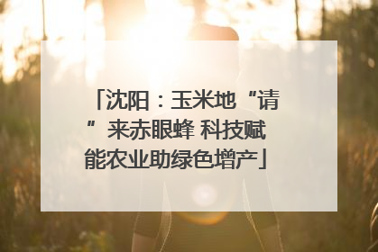 沈阳：玉米地“请”来赤眼蜂 科技赋能农业助绿色增产