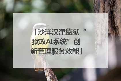 沙洋汉津监狱“狱政AI系统”创新管理服务效能