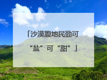 沙漠腹地民勤可“盐”可“甜”