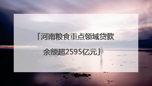 河南粮食重点领域贷款余额超2595亿元