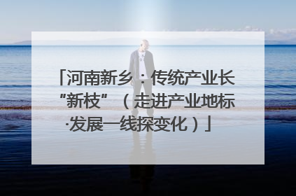 河南新乡：传统产业长“新枝”（走进产业地标·发展一线探变化）