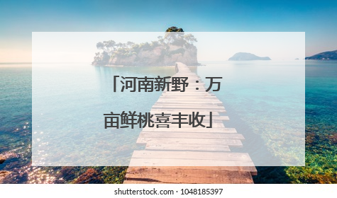 河南新野：万亩鲜桃喜丰收