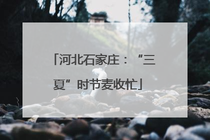 河北石家庄：“三夏”时节麦收忙
