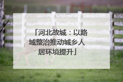 河北故城：以路域整治推动城乡人居环境提升