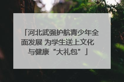 河北武强护航青少年全面发展 为学生送上文化与健康“大礼包”