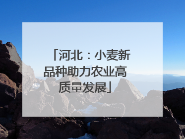 河北：小麦新品种助力农业高质量发展