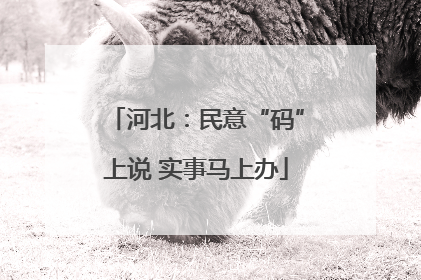 河北：民意“码”上说 实事马上办