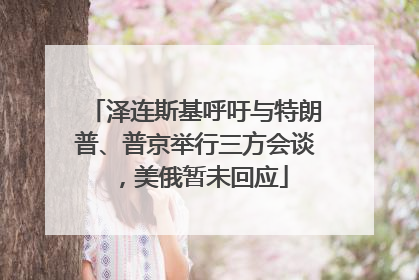 泽连斯基呼吁与特朗普、普京举行三方会谈，美俄暂未回应