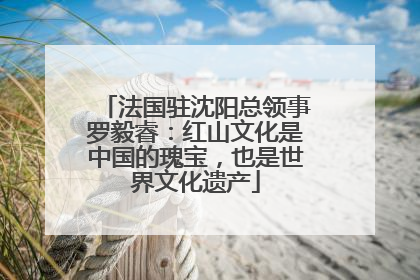 法国驻沈阳总领事罗毅睿：红山文化是中国的瑰宝，也是世界文化遗产