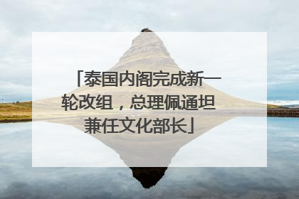 泰国内阁完成新一轮改组，总理佩通坦兼任文化部长