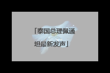 泰国总理佩通坦最新发声
