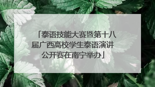 泰语技能大赛暨第十八届广西高校学生泰语演讲公开赛在南宁举办