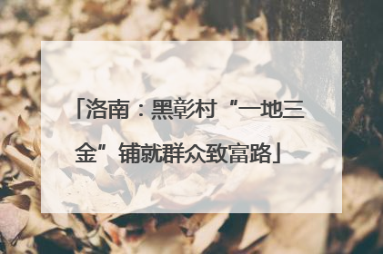 洛南：黑彰村“一地三金”铺就群众致富路