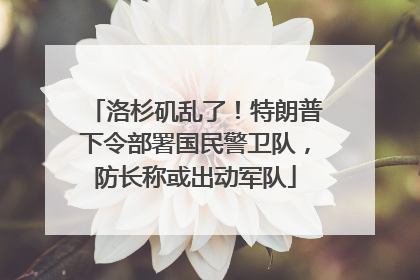 洛杉矶乱了！特朗普下令部署国民警卫队，防长称或出动军队