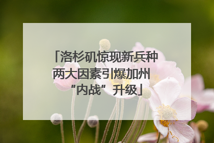 洛杉矶惊现新兵种 两大因素引爆加州“内战”升级