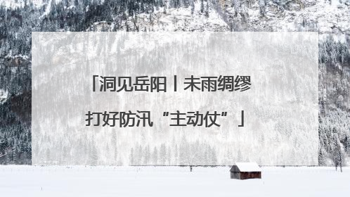 洞见岳阳丨未雨绸缪 打好防汛“主动仗”