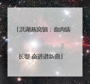 洪湖燕窝镇：血肉铸长堤 奋进谱新曲