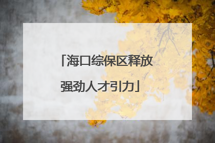 海口综保区释放强劲人才引力