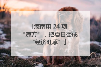 海南用 24 项 “凉方”，把夏日变成 “经济旺季”
