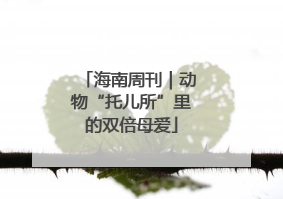 海南周刊｜动物“托儿所”里的双倍母爱