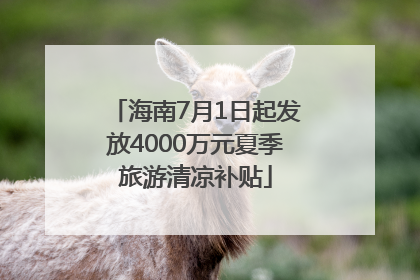 海南7月1日起发放4000万元夏季旅游清凉补贴