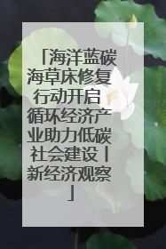 海洋蓝碳海草床修复行动开启 循环经济产业助力低碳社会建设丨新经济观察