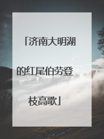 济南大明湖的红尾伯劳登枝高歌