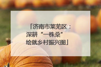 济南市莱芜区：深耕“一株桑” 绘就乡村振兴图
