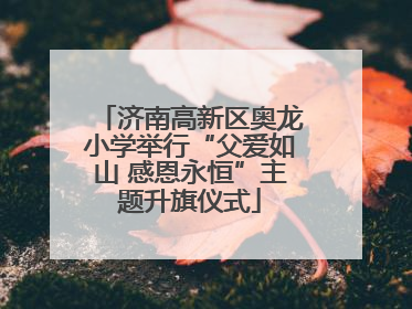 济南高新区奥龙小学举行“父爱如山 感恩永恒”主题升旗仪式