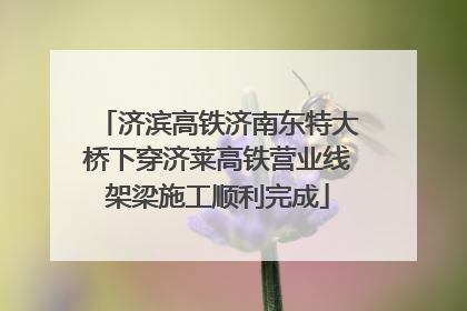 济滨高铁济南东特大桥下穿济莱高铁营业线架梁施工顺利完成
