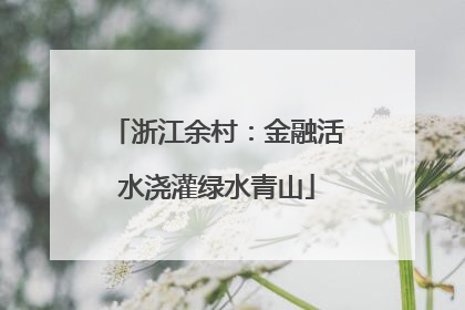 浙江余村：金融活水浇灌绿水青山