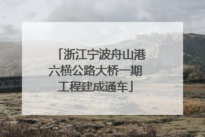 浙江宁波舟山港六横公路大桥一期工程建成通车