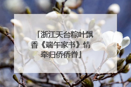 浙江天台粽叶飘香《端午家书》情牵归侨侨眷