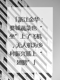 浙江金华：婺城蔬菜也“坐”上了飞机，无人机为乡村振兴插上“翅膀”