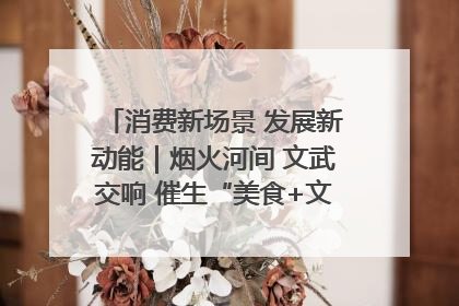 消费新场景 发展新动能｜烟火河间 文武交响 催生“美食+文化”消费新场景