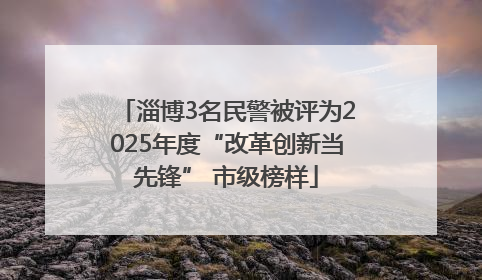 淄博3名民警被评为2025年度“改革创新当先锋” 市级榜样