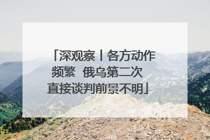 深观察丨各方动作频繁  俄乌第二次直接谈判前景不明