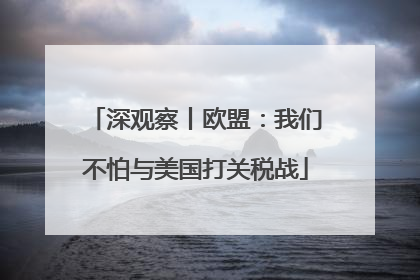 深观察丨欧盟：我们不怕与美国打关税战