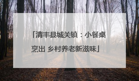 清丰县城关镇：小餐桌烹出 乡村养老新滋味