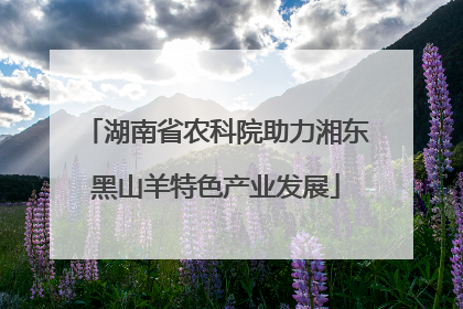 湖南省农科院助力湘东黑山羊特色产业发展